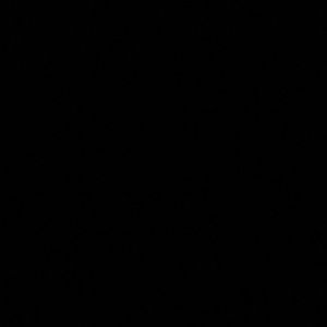 Meet your Posher, Alfonso